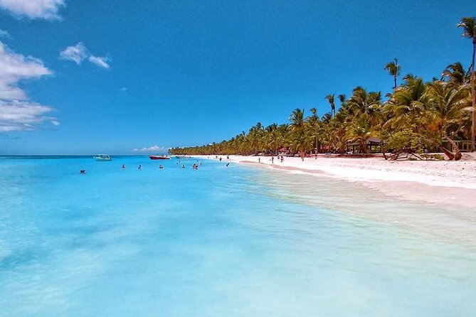 Full Day Saona Island Day Trip From Punta Cana - Overview of the Saona Island Trip
