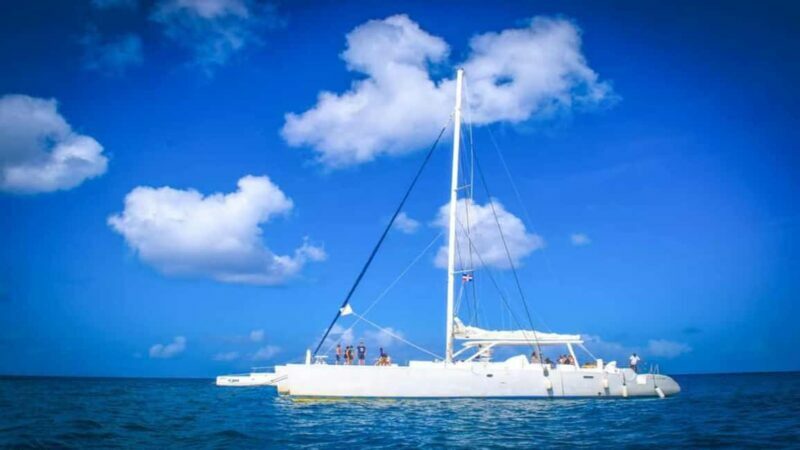 Full-Day Saona Island Excursion with Catamaran Party - Key Points