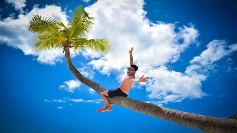Full-Day Saona Island Excursion with Catamaran Party - An Overview of the Tour Experience
