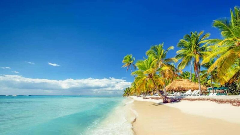 Full-Day Saona Island Excursion with Catamaran Party - The Return Journey: The Catamaran Party
