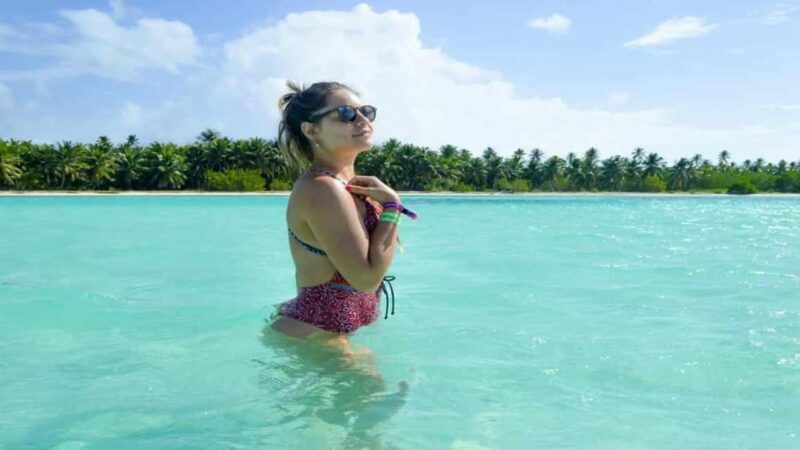 Full-Day Saona Island Excursion with Catamaran Party - Detailed Breakdown of the Experience