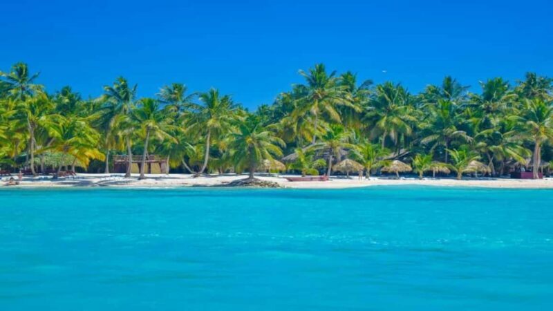 Full-Day Saona Island Excursion with Catamaran Party - FAQs