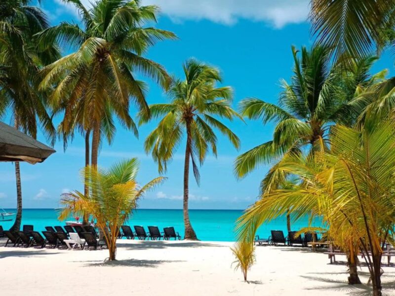 Full-Day Saona Island Tour by Speedboat - Key Points