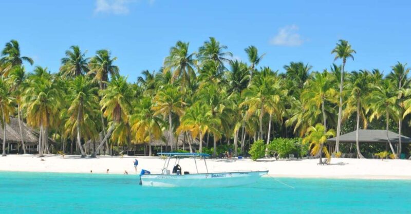 Full-Day Saona Island Tour by Speedboat - Tour Highlights and Activities