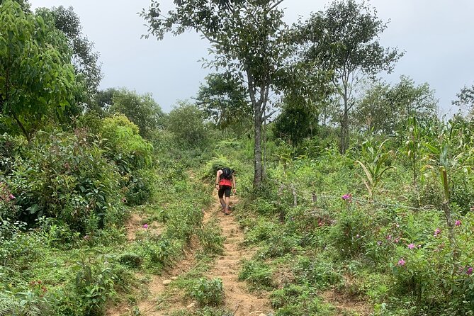 Full Day Sapa Cow Hill Trekking Tour Review - Schedule and Duration