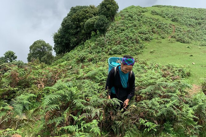 Full Day Sapa Cow Hill Trekking Tour Review - Accessibility and Health Recommendations