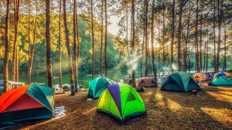 Full-Day Sapanca & Kartepe Adventure With Activities - Exclusions