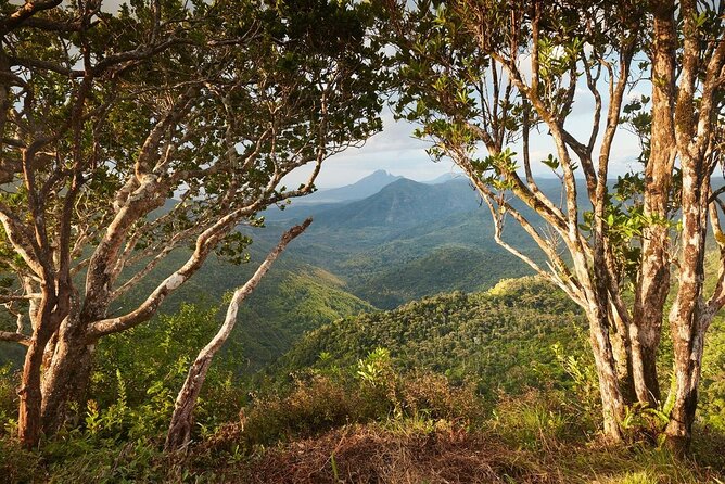 Full Day Scenic South West Mauritius With Chamarel Safari & Lunch - Pickup and Start Time