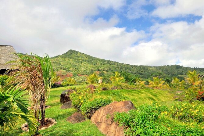 Full-Day Scenic South West Tour, ALL INCLUSIVE Day Trip, Private SUV Car, Guide - Explore the South West Region