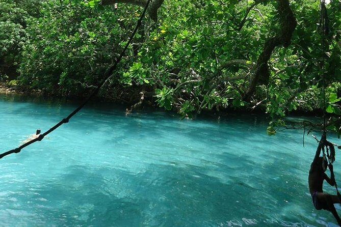 Full-Day Scenic Tour around the Island Tour from Port Vila - Key Points