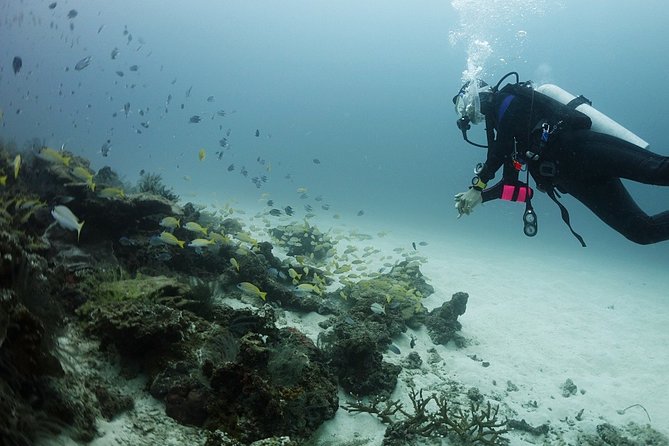 Full-Day Scuba Diving (3Dives) in Phuket - Health and Safety Considerations