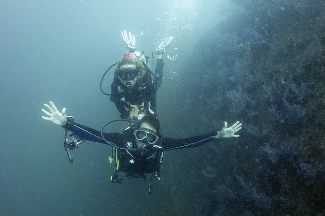 Full-Day Scuba Diving (3Dives) in Phuket - Positive Customer Feedback