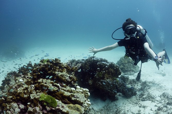 Full-Day Scuba Diving (3Dives) in Phuket - Customizing the Diving Experience