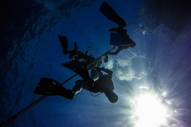 Full-Day Scuba Diving Catalina Island Tour from Bavaro - Final Words