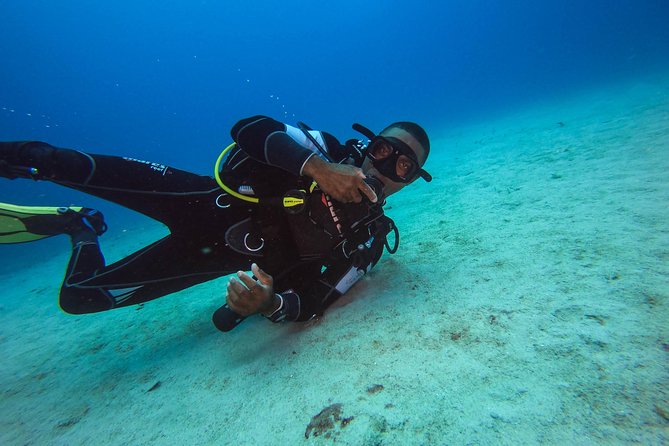 Full-Day Scuba Diving Catalina Island Tour From Bavaro - Discovering Marine Life Diversity