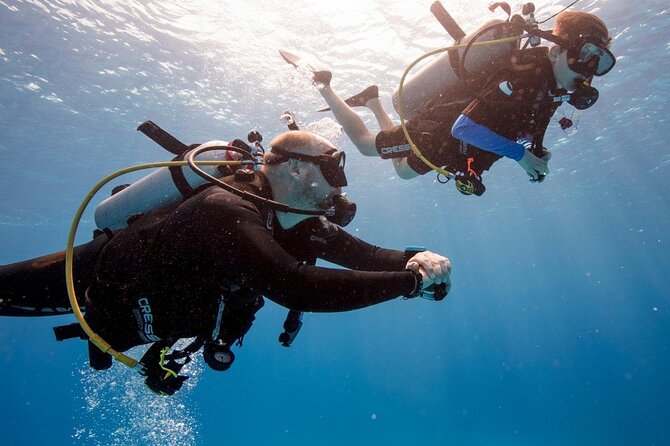 Full Day Scuba Diving Course: Pool and Boat Dive Experience - Key Points