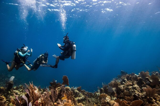 Full Day Scuba Diving Course: Pool and Boat Dive Experience - Meeting and Pickup