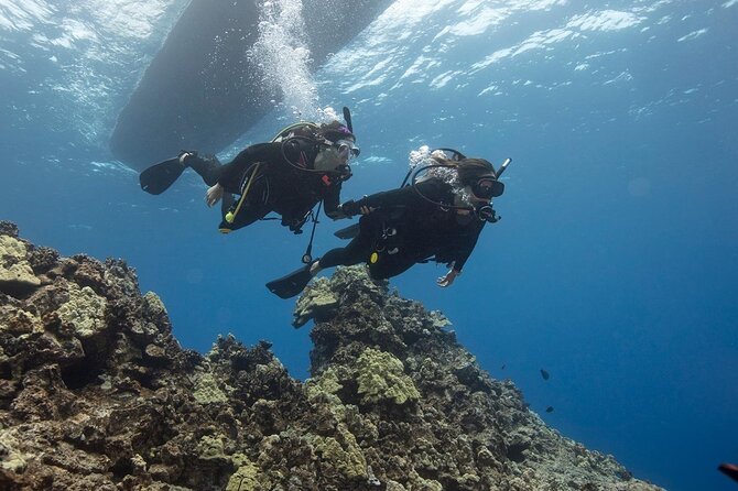 Full Day Scuba Diving Course: Pool and Boat Dive Experience - Equipment and Gear