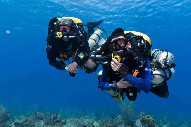 Full-day Scuba Diving Experience for Beginners & Lunch - Sharm El Sheikh - Key Points