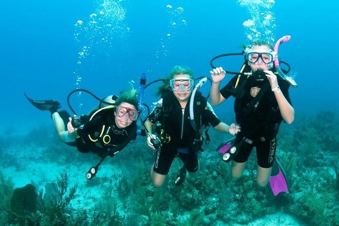 Full-day Scuba Diving Experience for Beginners & Lunch - Sharm El Sheikh - Overview of the Experience