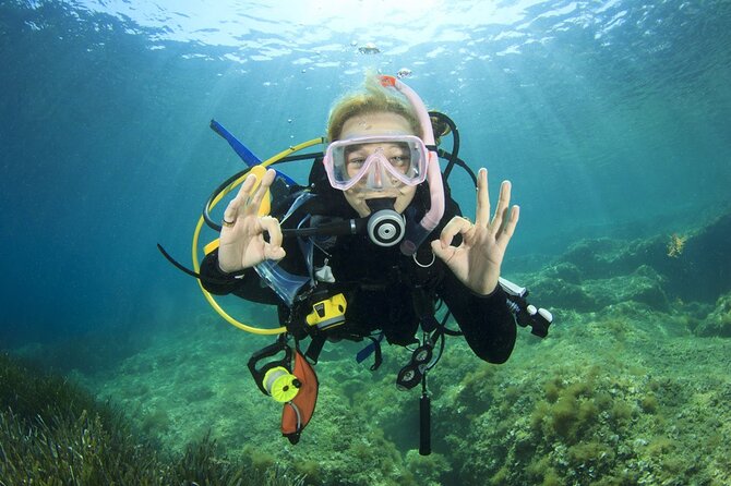 Full-day Scuba Diving Experience for Beginners & Lunch - Sharm El Sheikh - Diving Locations and Marine Life