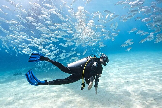 Full-day Scuba Diving Experience for Beginners & Lunch - Sharm El Sheikh - Cancellation and Booking Options