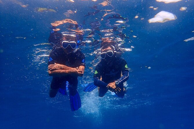 Full-Day Scuba Diving Experience of USAT Liberty in Tulamben - Highlights of the Diving Destination