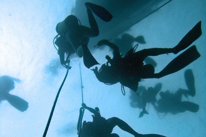 Full Day Scuba Diving in Rosario Islands - Included Activities and Amenities
