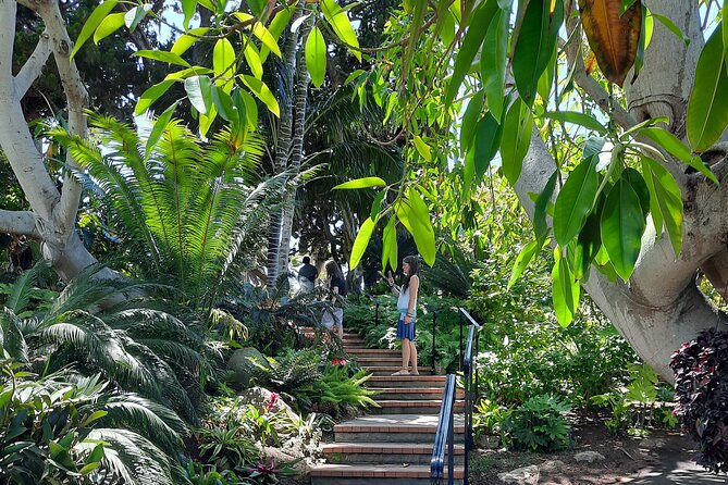 Full-Day Self Guided Electric Bike Tour of North San Diego Coast - Booking and Cancellation