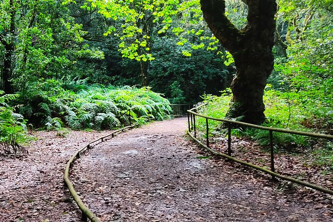 Full-Day Self Guided Hike in Caldeirão Verde Levada - Location and Accessibility