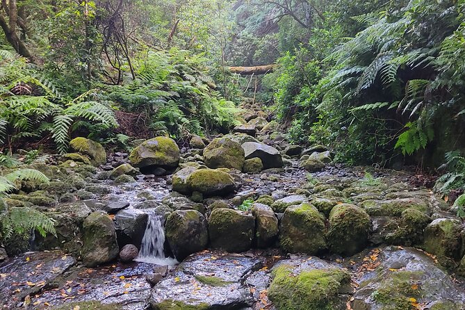 Full-Day Self Guided Hike in Caldeirão Verde Levada - Hike Details and Duration