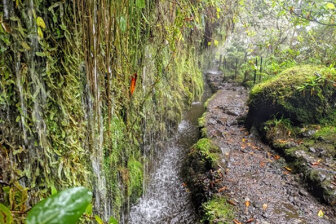 Full-Day Self Guided Hike in Caldeirão Verde Levada - Included Amenities