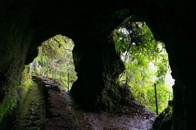 Full-Day Self Guided Hike in Caldeirão Verde Levada - Feedback and Reviews