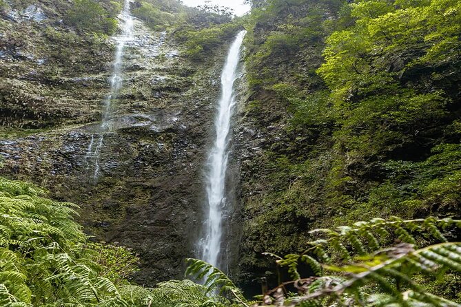 Full-Day Self Guided Hike in Caldeirão Verde Levada - Getting to the Starting Point