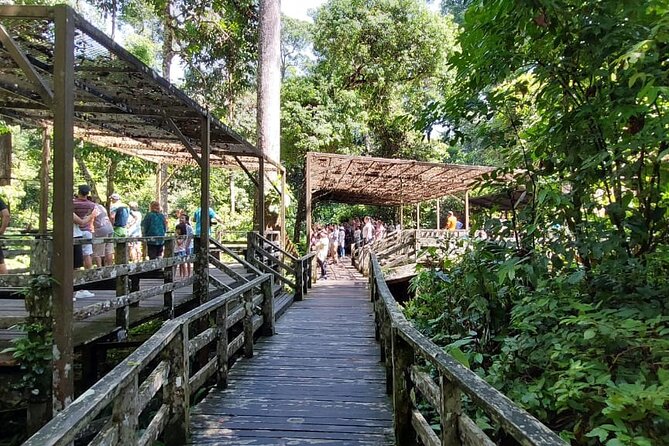 Full-Day Sepilok Orangutan and Proboscis Monkey From Sandakan or Kota Kinabalu - Customer Feedback and Pricing
