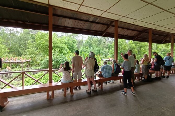 Full-Day Sepilok Orangutan and Proboscis Monkey From Sandakan or Kota Kinabalu - Explore Sepilok Rehabilitation Center