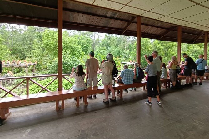 Full-Day Sepilok Orangutan and Sandakan City Trail From Kota Kinabalu - Highlights of the Orangutan Tour