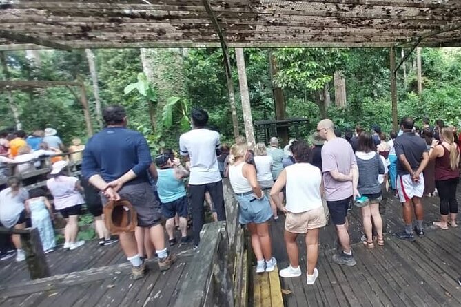 Full-Day Sepilok Orangutan and Sandakan City Trail From Kota Kinabalu - Malay Lunch at a Local Restaurant