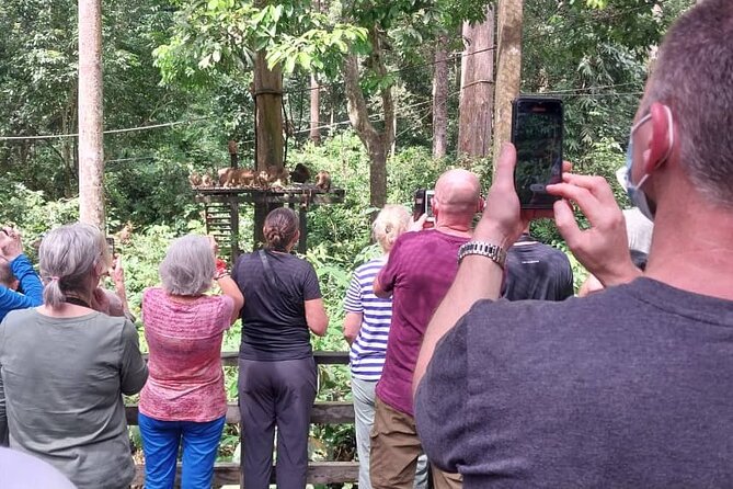 Full-Day Sepilok Orangutan and Sandakan City Trail From Kota Kinabalu - Confirmation and Recommended Flights