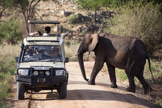 Full-Day Serengeti Tour From Mwanza - Seasonal Wildlife Migrations