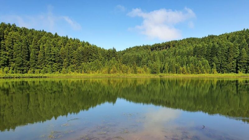 Full Day Sete Cidades and Lagoa Do Fogo - Dramatic Coastline
