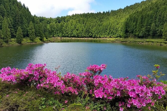 Full-Day Sete Cidades Crater Lake and Fire Crater Lake Private Tour - Cancellation and Review Information