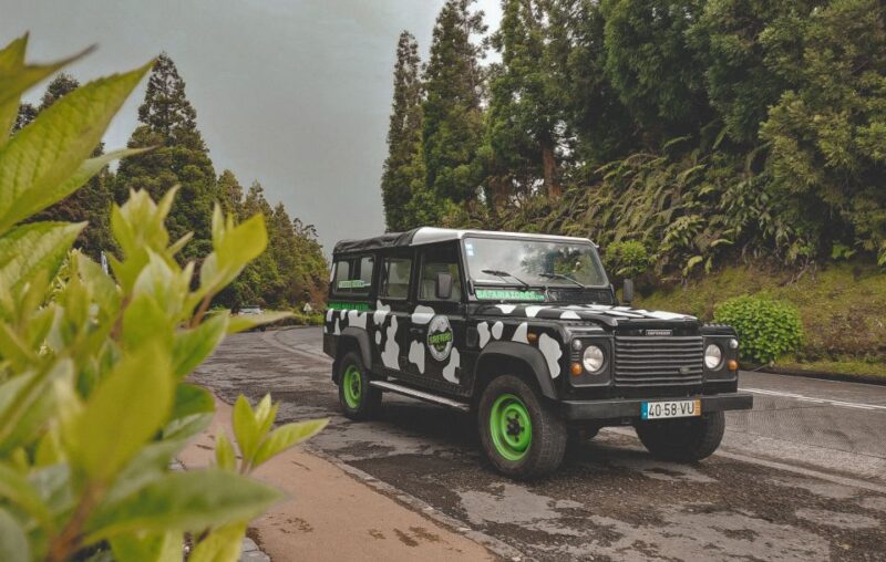 Full Day Sete Cidades + Lake of Fire - Participant Information