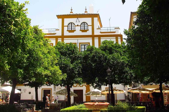 Full Day Seville Tour With Tickets (Optional Tapas & Flamenco) - Meeting and End Point