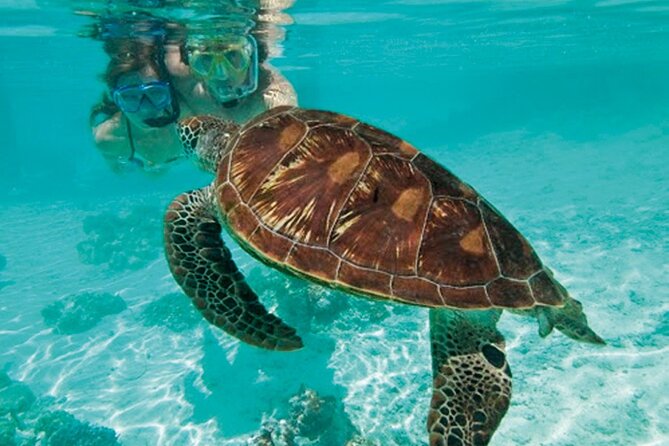 Full Day Shared Catamaran Cruise at Saint Maarten - Weather Conditions and Flexibility
