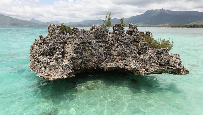 Full Day Shared Speedboat Tour - South West Lagoon Dolphin Swim - Key Points