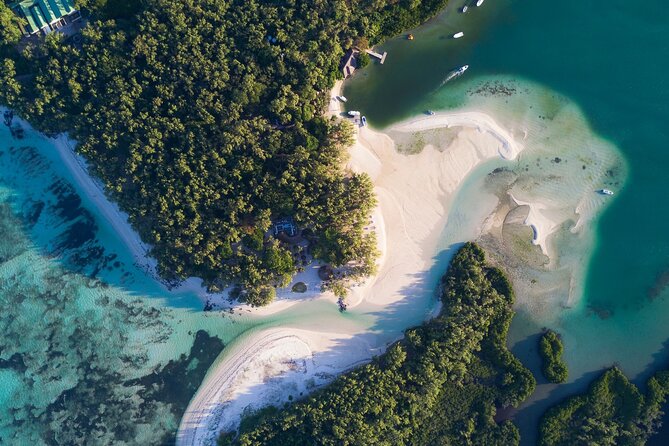 Full Day Shared Tour Catamaran to Ile Aux Cerfs - Participant Reviews Summary