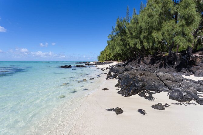 Full Day Shared Tour Catamaran to Ile Aux Cerfs - Highlights and Recommendations