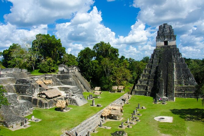 Full-Day Shared Tour to Tikal From Flores Peten With Lunch - Key Points