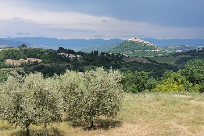 Full-Day Shore Excursion to Istria From Opatija or Rijeka - Discovering Motovun Walls